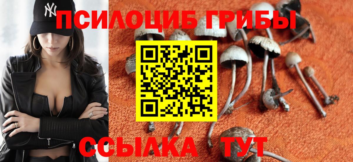 Верхняя Пышма  Галлюциногенные грибы мухоморы  Вход с VPN 