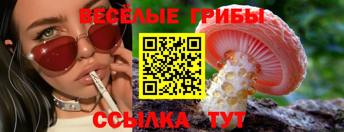 Галлюциногенные грибы Cubensis Верхняя Пышма
